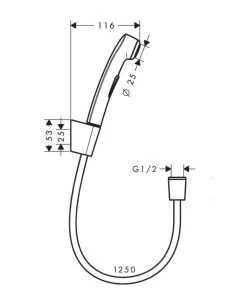 Hansgrohe Bidette - Douchette Bidette, Chrome 32129000 -Magasin De Salle De Bain 081b2adb08ead1e185c83f64