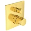 Ideal Standard CeraTherm - Mitigeur De Douche Thermostatique Encastré, Brushed Gold A6956A2 -Magasin De Salle De Bain 295345dc91e702ded6e937e3