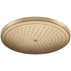Hansgrohe Croma - Pommeau De Douche 280, EcoSmart, Bronze Brossé 26221140