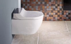 Geberit AquaClean - Abattant De Bidet Tuma Comfort, SoftClosing, Verre Noir 146.272.SJ.1 -Magasin De Salle De Bain 85a5bd8592ac7514e60f4d5c