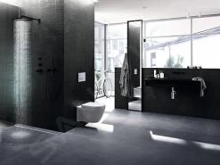 Geberit CleanLine - Canal De Douche En Inox, 300-900 Mm, Métal Foncé 154.456.00.1 -Magasin De Salle De Bain 878eb6837b0d5cf23b3ec2d8