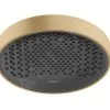 Hansgrohe Rainfinity - Pommeau De Douche 250, EcoSmart, Bronze Brossé 26229140 -Magasin De Salle De Bain a72e8e851af44b841c3a3b29